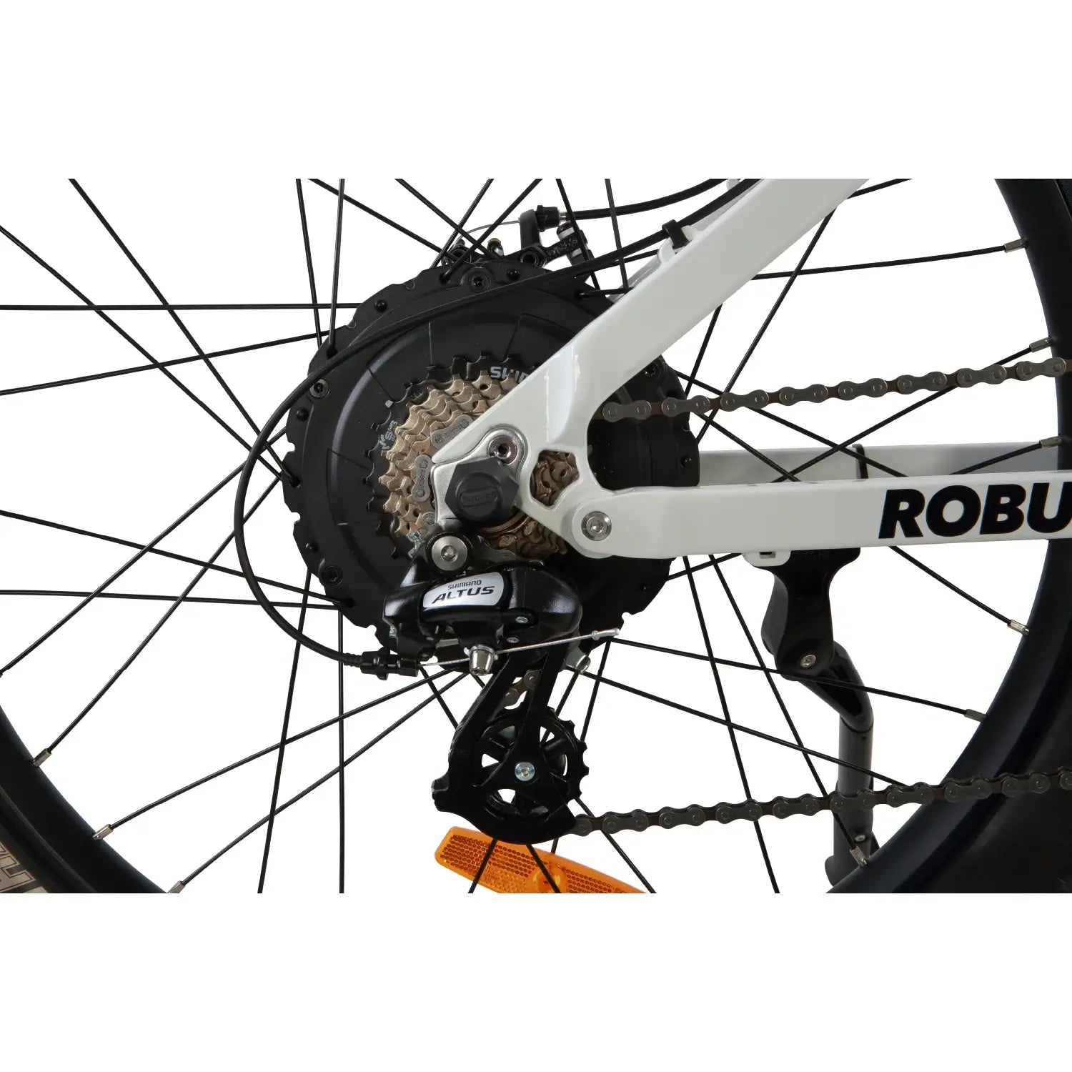 Gray ROBUSTO Electric Mountain Bike