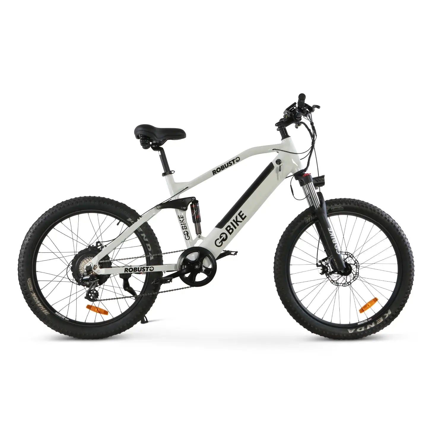 Light Gray ROBUSTO Electric Mountain Bike