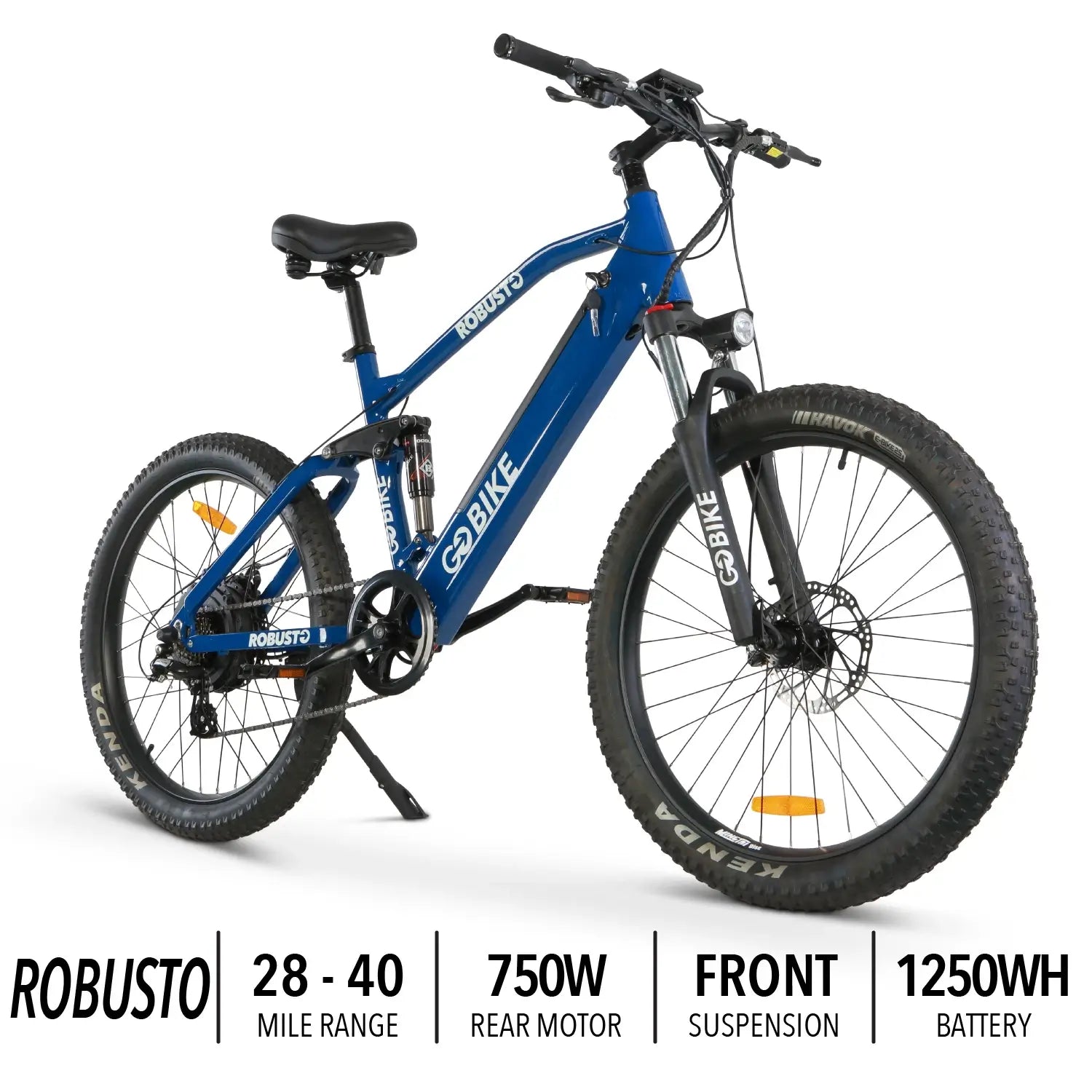 Dark Slate Gray ROBUSTO Electric Mountain Bike