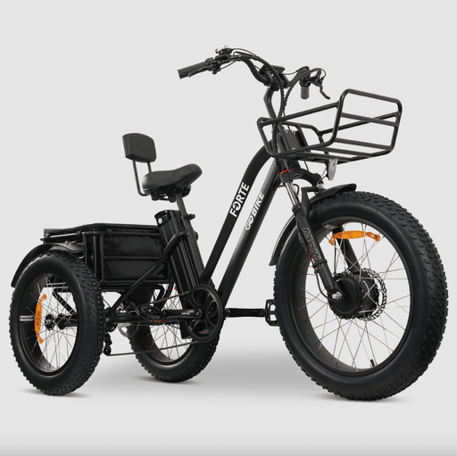 GOBike FORTE Electric All-Terrain Tricycle Electric Tricycle ComfyGo Black  