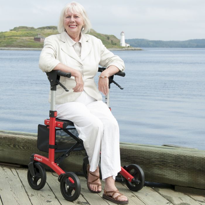 Light Gray Triumph Escape Folding Portable Rollator