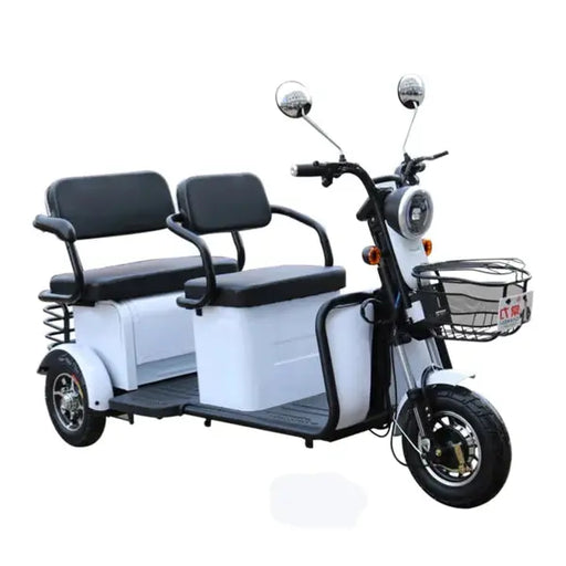 Dark Slate Gray Pushpak 4000 2-Person Electric Trike Recreational Scooter