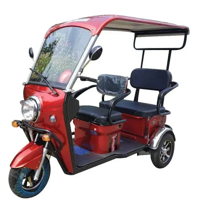 Dark Slate Gray Pushpak 5000 2-Person Covered Recreational Scooter