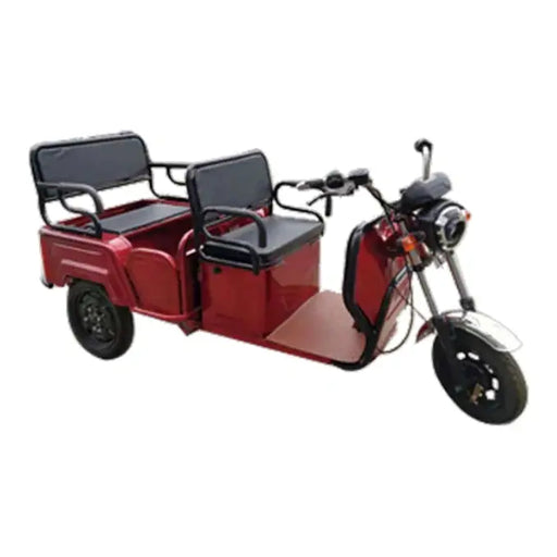 Pushpak 6000 2-Person Electric Trike Recreational Scooter